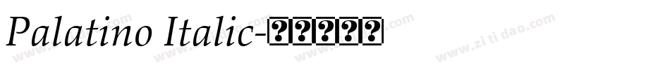 Palatino Italic字体转换